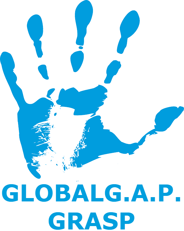 GRASP LOGO