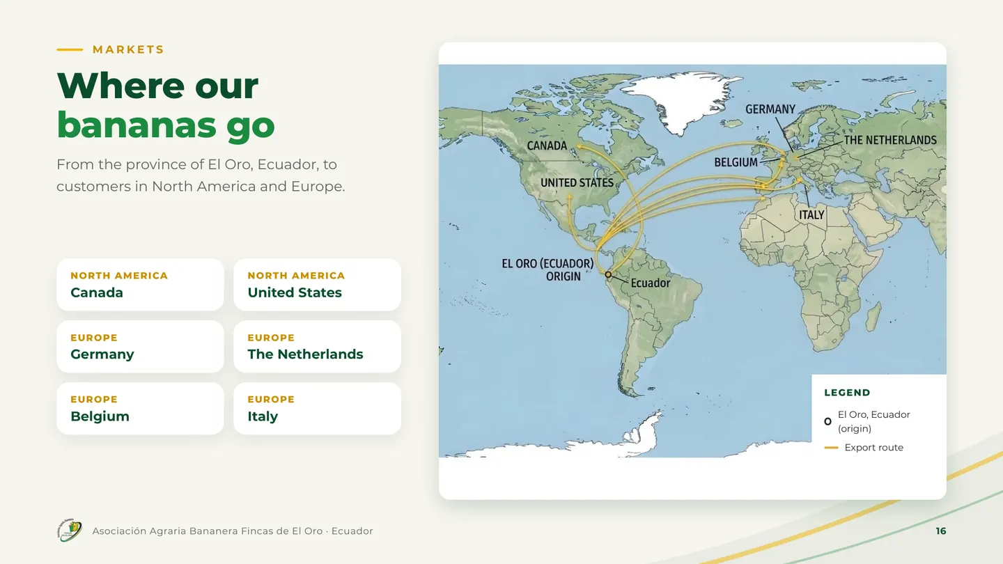 Where our bananas go